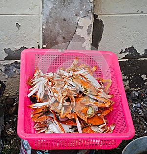 Hot Steamed Blue Crabs on basket