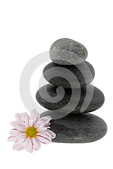 Hot stones with flower