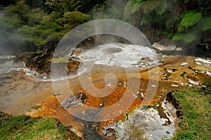 Hot Stream with mineral sediments, Waimangu Volcan photo