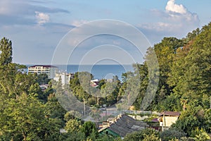 Hot summer in Pitsunda, Abkhazia. Fresh air. Tropical landscape