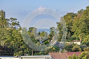 Hot summer in Pitsunda, Abkhazia. Fresh air. Tropical landscape