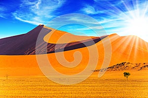 Hot sun of the Namib desert