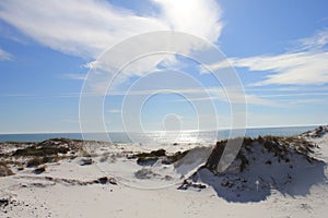 Panama City Beach Hot sunny day Dunes on Shell Island, Florida photo