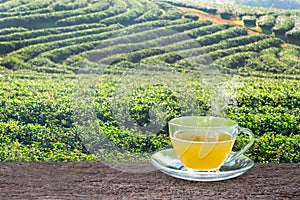 Hot tea cup on the wooden table and the tea plantations nature