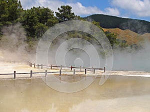 Hot thermal spring, New Zealand photo