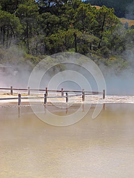 Hot thermal spring, New Zealand photo