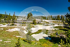 Hot thermal spring in Yellowstone