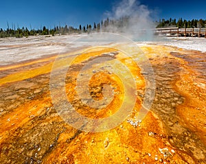 Hot thermal spring in Yellowstone