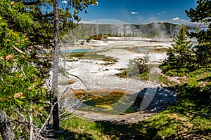 Hot thermal spring in Yellowstone