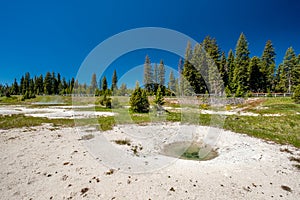 Hot thermal spring in Yellowstone