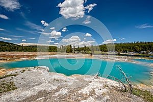 Hot thermal spring in Yellowstone