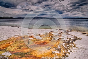 Hot thermal spring in Yellowstone natinoal park wyoming