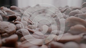 Hot thick steam swirls over tasty roasted brown coffee beans