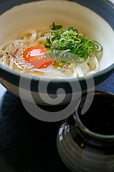 Hot Udon in Broth