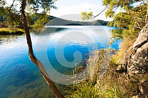 Hot water beach on Lake tarawera