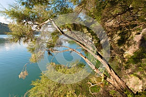 Hot water beach on Lake tarawera