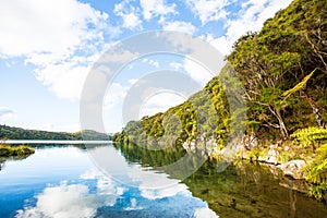 Hot water beach on Lake tarawera