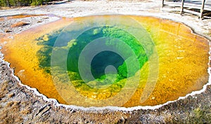 Hot water pool in the Yellowstone