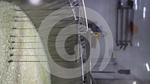 Hot water pour on curd and whey in tank at cheese factory. Process of making Parmesan cheese.