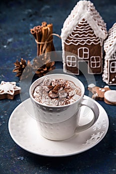 Hot winter sweet cocoa drink with marshmallows and ginger cookies