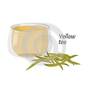 Hot yellow tea in glass cup and a handful of tea isolated on white background. Vector drink illustration