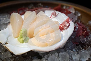Hotate sashimi set is beautifully arranged on ice decorated with large shell