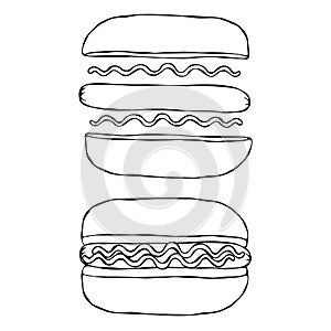 Hotdog. Bun, Sausage, Ketchup, Mustard. Fast Food Collection. Hand Drawn High Quality Traced Vector Illustration. Doodle Style.