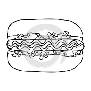 Hotdog. Bun, Sausage, Ketchup, Mustard, Salad Leave Herbs. Fast Food Collection. Hand Drawn High Quality Traced Vector Illustratio