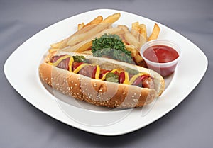 hotdog and french fries combo photo