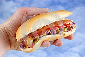Hotdog in hand photo