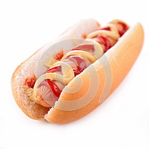 Hotdog isolated