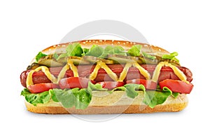 Hotdog isolated on white background photo