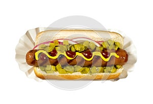 Hotdog with Mustard