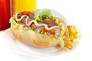 Hotdog on plate with french fries on white background