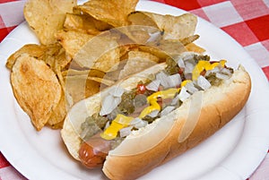 Hotdog and potato chips