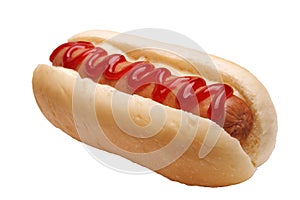 Hotdog sandwich on white