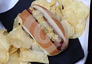 Hotdog with spicy mustard on a bun with potato chips