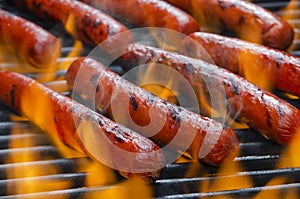 Hotdogs on a Flaming Hot Barbecue Grill