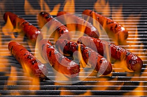 Hotdogs on a Flaming Hot Barbecue Grill