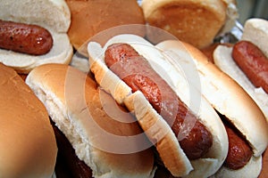 Hotdogs Ready to Serve