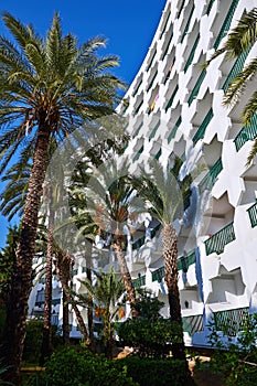 Hotel building and palm trees