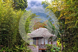 Hotel Bungalow, Mindo Cloud Forest, Ecuador