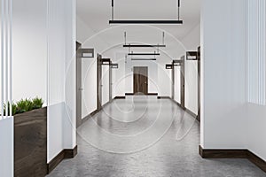 Hotel corridor with closed doors, front view