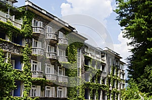 Hotel covered with vegetation