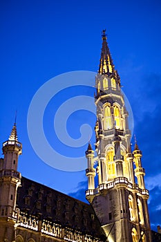 Hotel De Ville In Brussels At Night