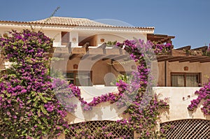 Hotel Dune Village at Badesi commune. Sardinia. Italy