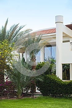 Hotel facade in Egypt With palm trees