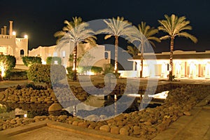 Hotel garden, palms and stars