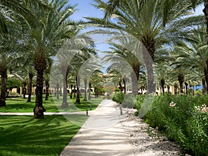 Hotel gardens