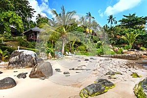 Hotel huts in the greenery, among palm trees on the sandy beach.